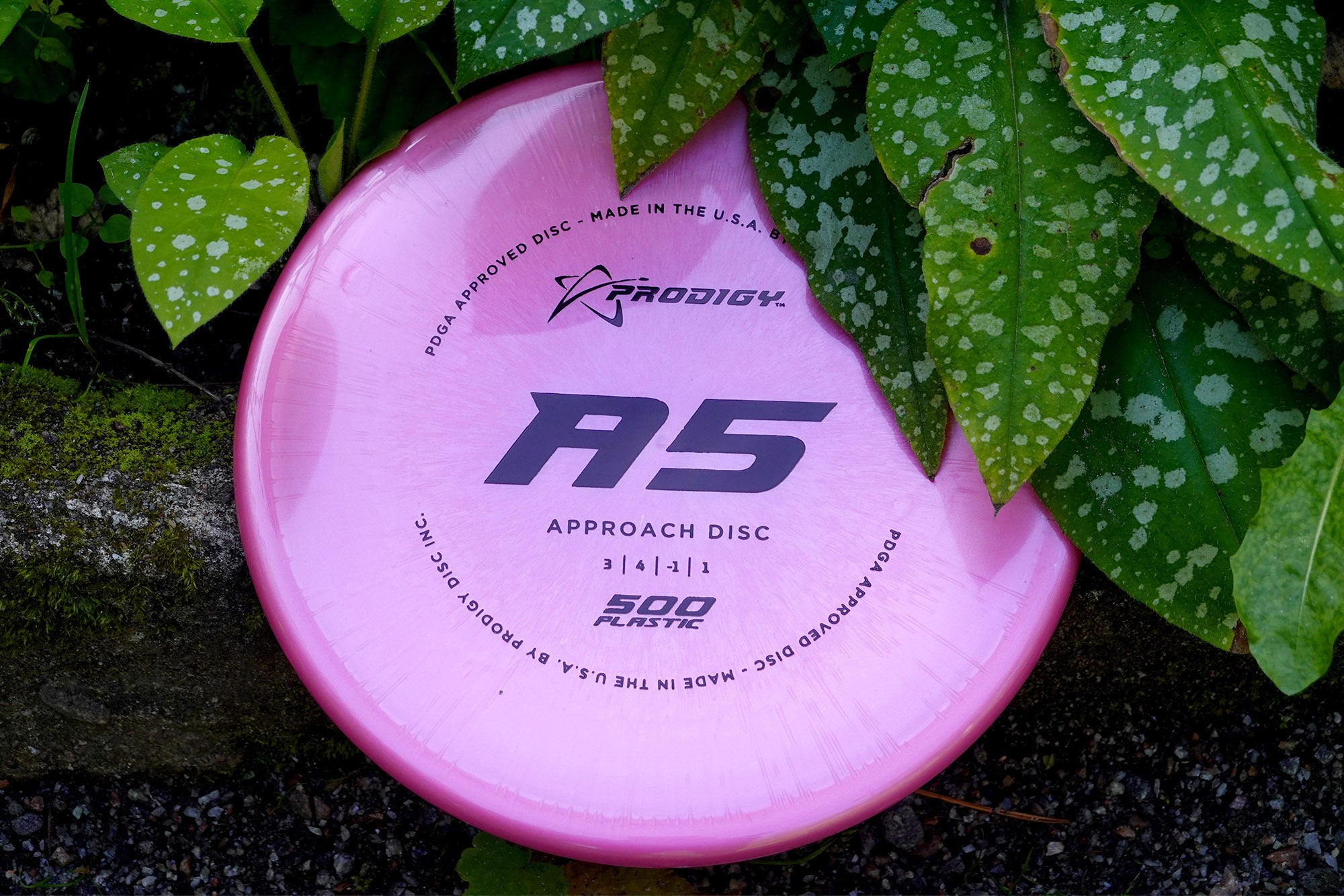 Prodigy A5 500