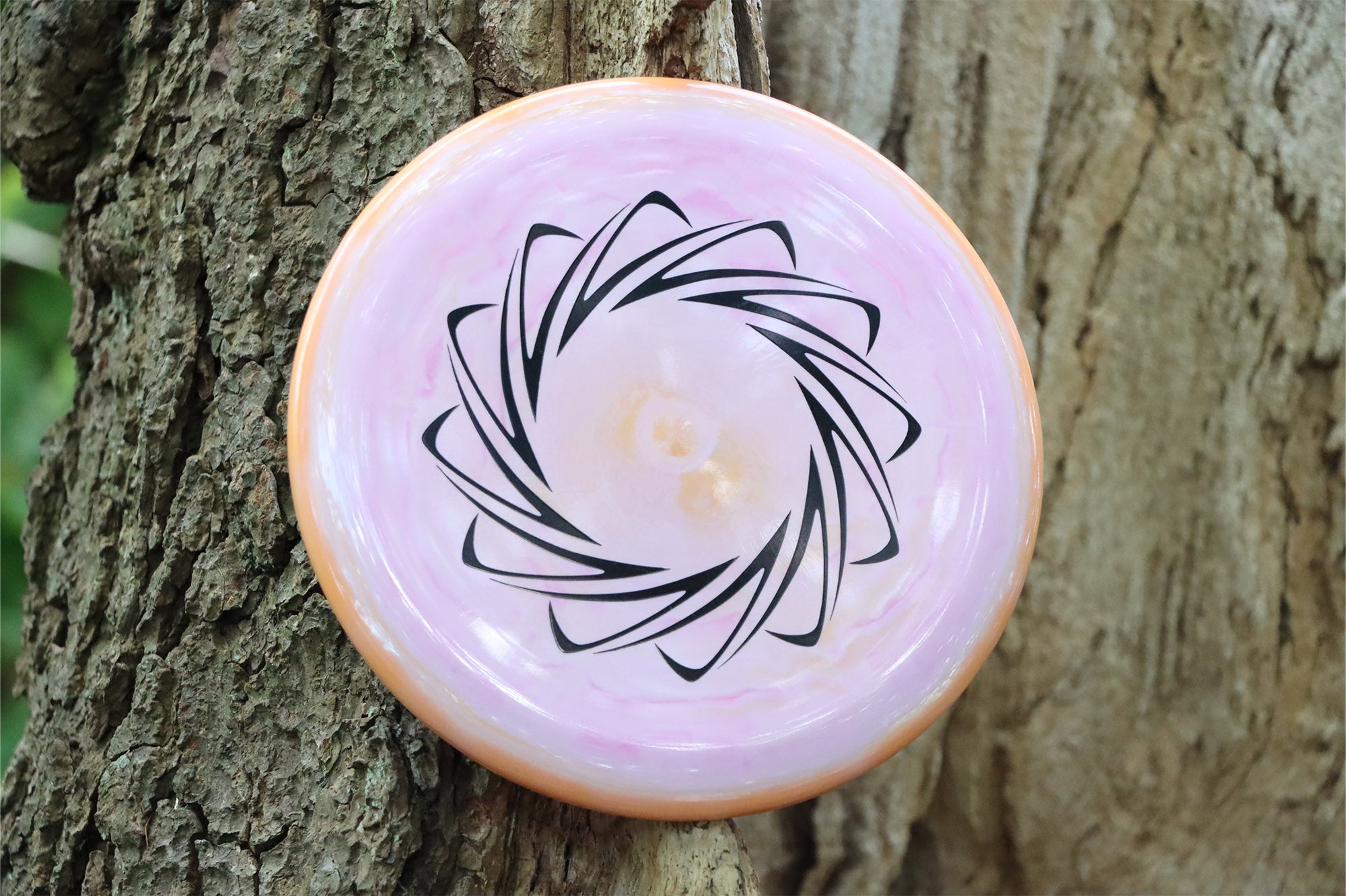 Prodigy PX-3 500 Spectrum - Star Wheel